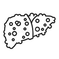 Liver Cirrhosis